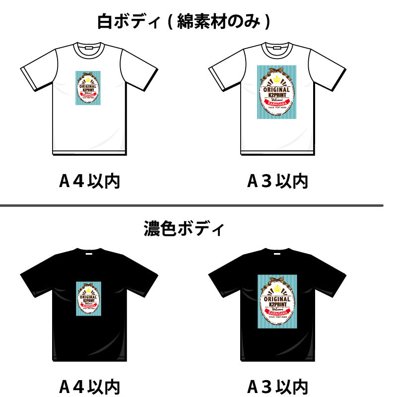 【転写プリント】4.0オンス ライトウェイトTシャツ(00083-BBT)