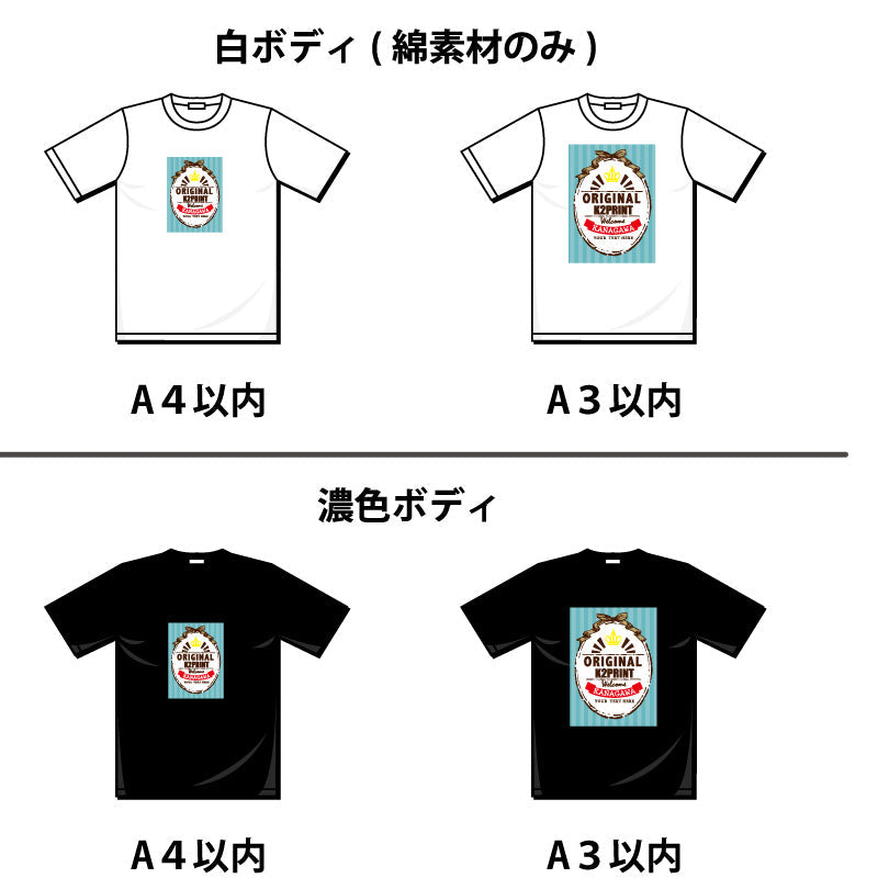 【転写プリント】5.8オンス S/S Tシャツ（DM4312）
